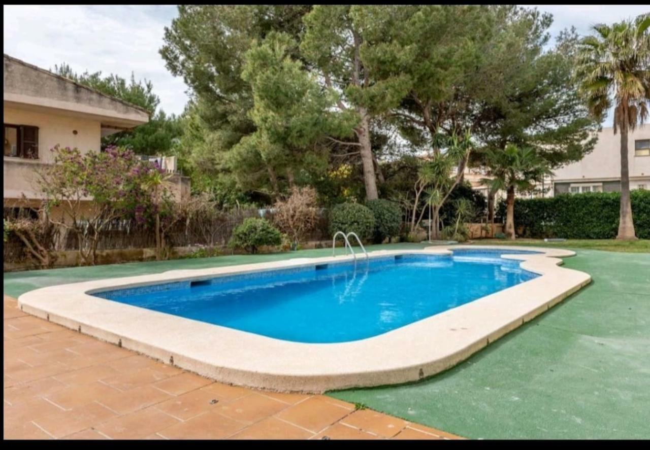 Ronda Playa Apartment Can Picafort (Mallorca)
